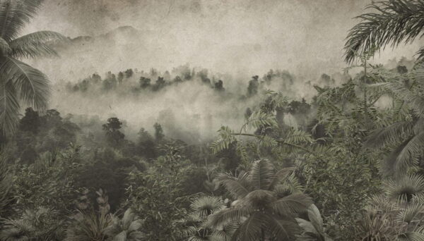 Paper Peint Dense Brouillard Tombant