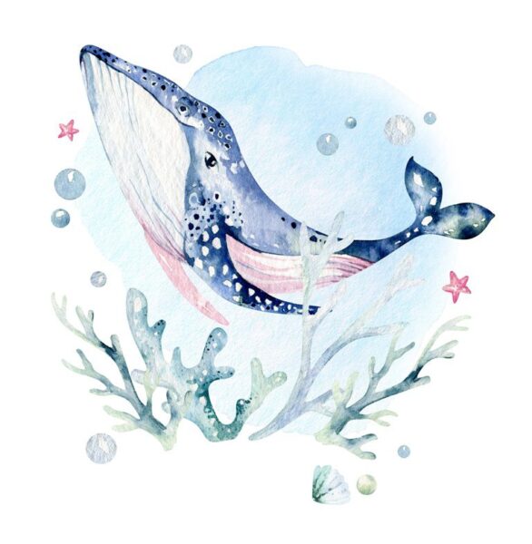 Papier Peint Baleine Flottante Pour Bébé