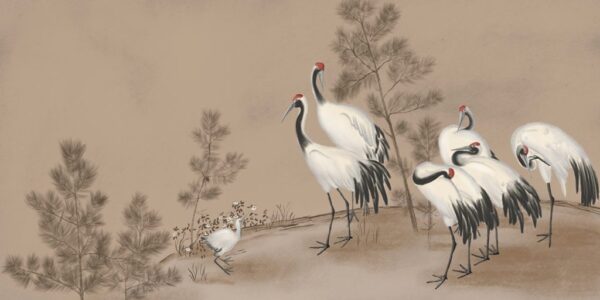 Papier Peint Famille de grues blanches