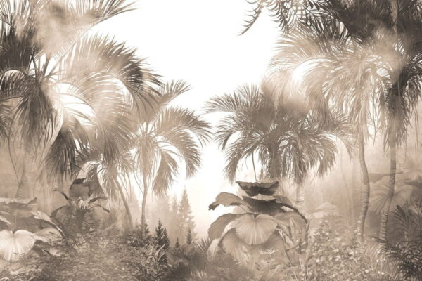 Papier Peint Lumière dans la jungle