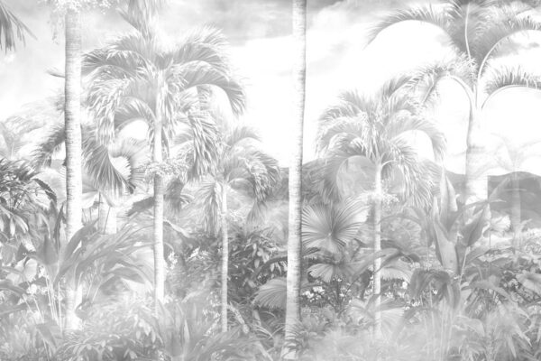 Papier Peint Jungle Lumineuse