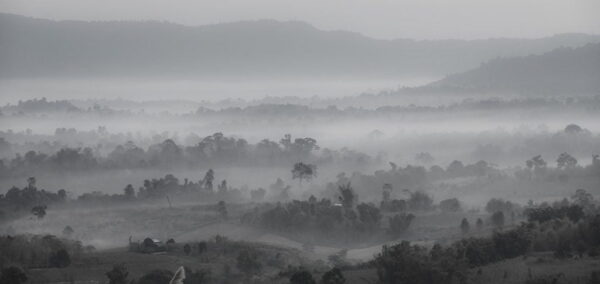 Papier Peint Paysage Gris