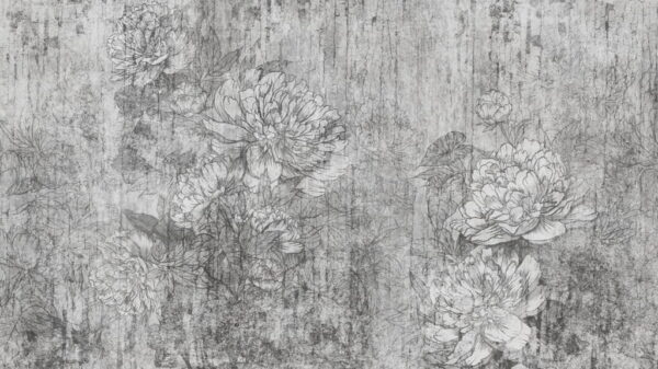 Papier Peint Fleur Grise Sur Un Mur