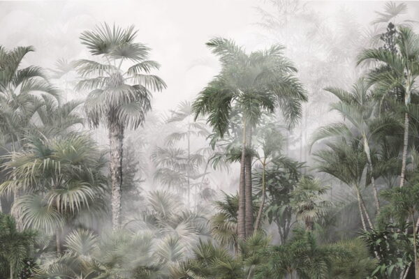 Papier Peint Tropiques Dans La Brume