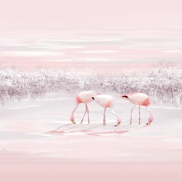 Papier Peint Trois Flamants Roses
