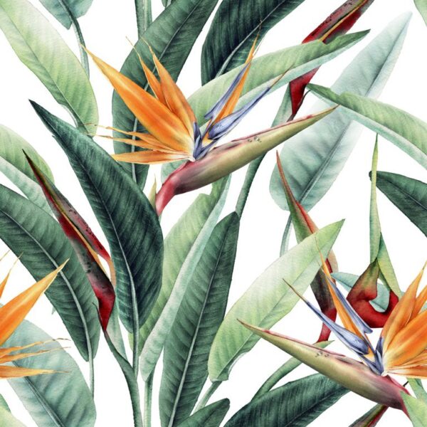 Papier Peint Dans Un Bouquet De Fleurs Exotiques