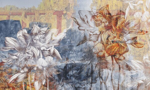Papier Peint Nénuphars Sur Le Mur