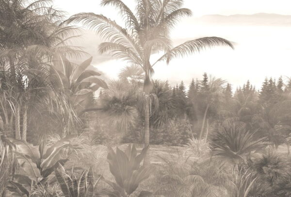 Papier Peint Grand Palmier Dans Le Brouillard