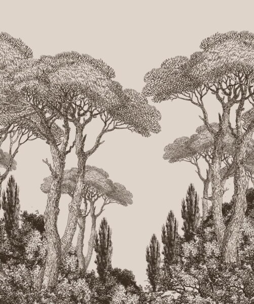 Papier Peint Grands Arbres