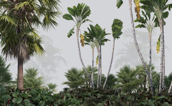 Papier Peint Vert Tropical et Brume