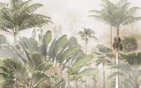 Papier Peint Jungle Verte Dans La Brume