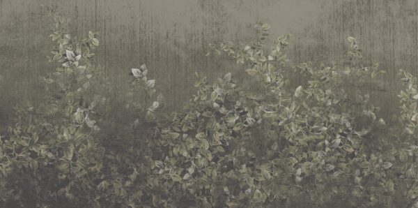Papier Peint De Lierre Vert Sur Fond Sombre