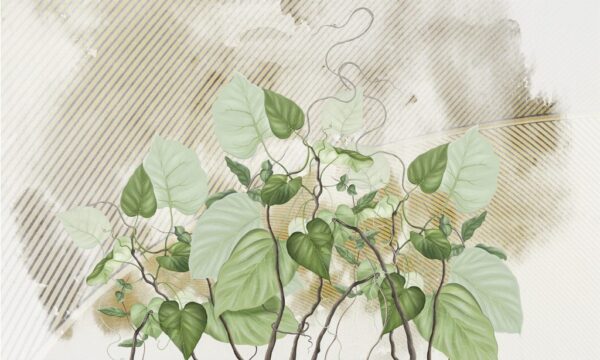 Papier Peint Vert Lierre