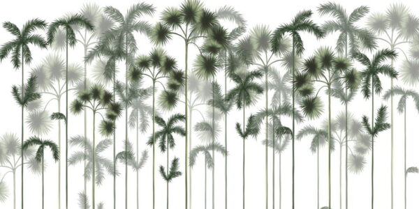 Papier Peint Vert Forêt De Palmiers