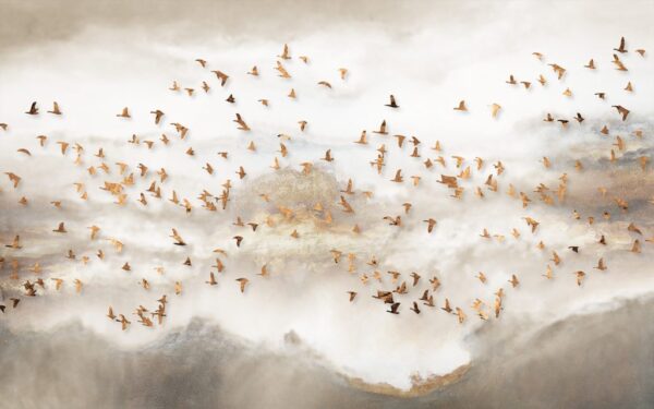 Papier Peint Oiseaux Dorés