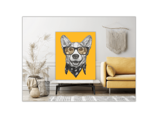 Image d'un chien à lunettes – Image 3
