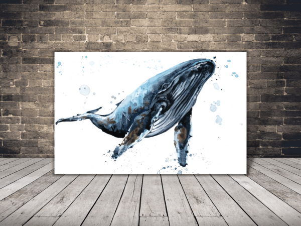 Image d'une baleine bleue