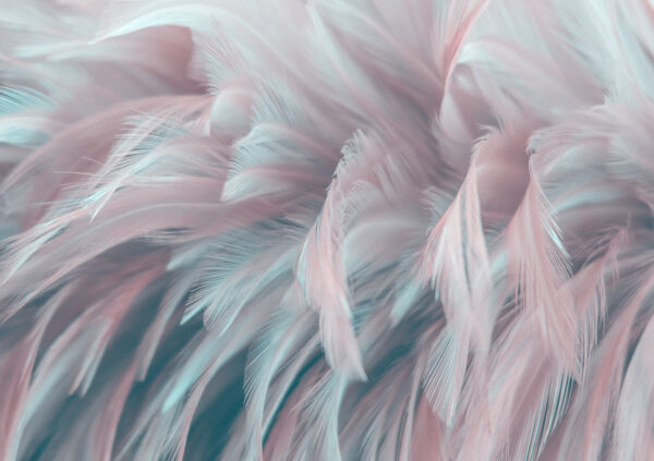 Peinture murale Plumes 3D