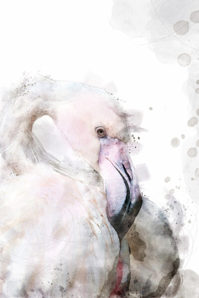 Papier peint Flamant rose peint