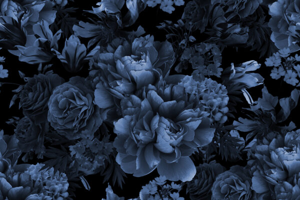 Papier peint Fleurs de pivoine bleue