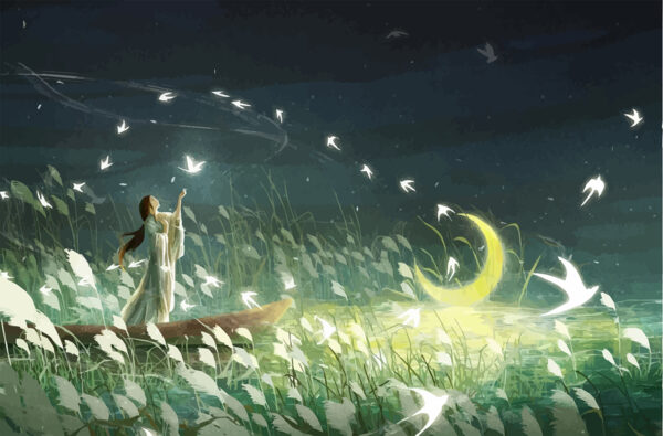 Papier peint Nuit Magique