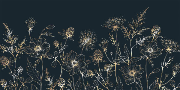 Papier peint Prairie de fleurs sur fond sombre