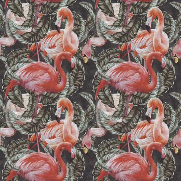 Papier peint Flamants roses sur fond sombre