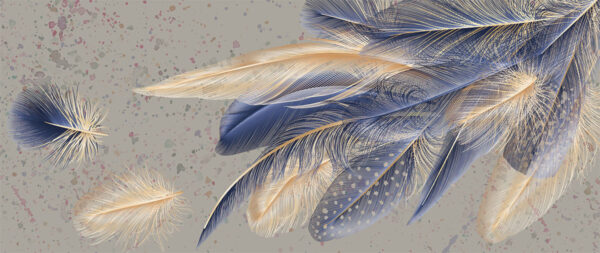 Papier peint Plumes délicates
