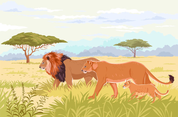 Papier peint La famille Lion dans la savane
