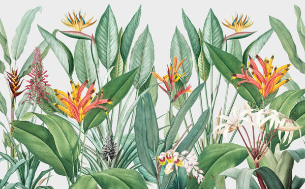 Papier peint Fleurs tropicales sur fond clair