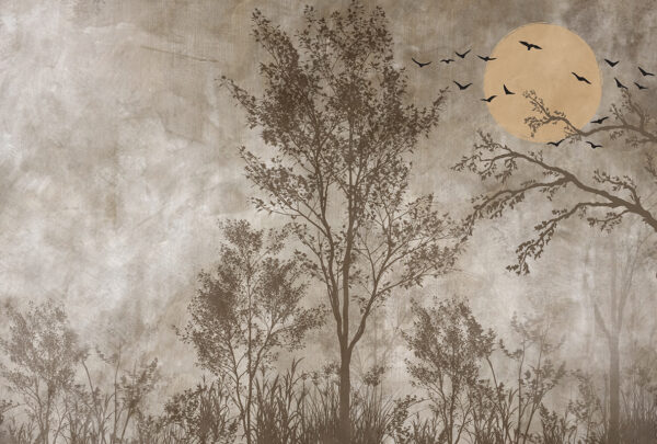 Papier peint Coucher de soleil