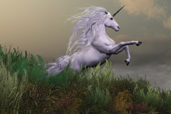 Papier peint Licorne Blanche Au Sommet Des Montagnes