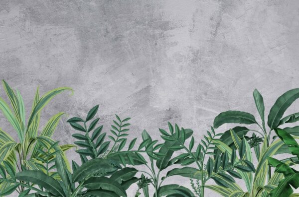 Papier peint Plantes vertes
