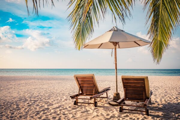 Papier peint Vacances sous les palmiers