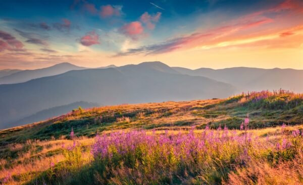 Papier peint La beauté des montagnes