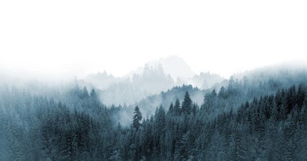 Papier peint Montagnes brumeuses