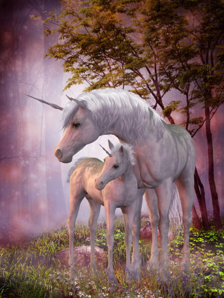 Papier peint Jument et poulain licorne