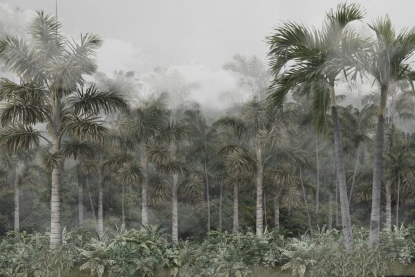Papier peint Jungle sombre
