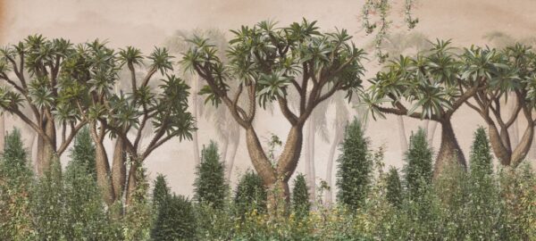 Papier peint Forêt de séquoias