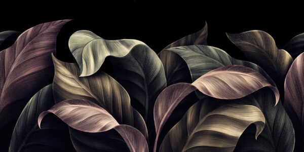 Papier peint Feuilles dans le noir