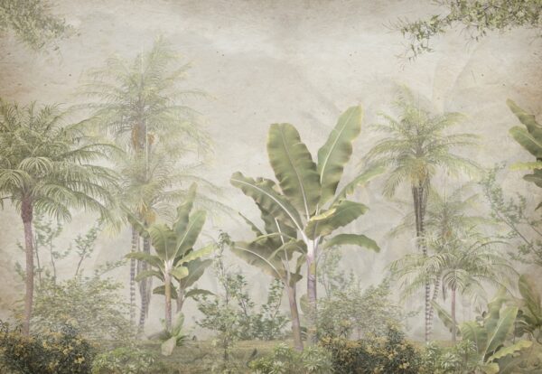 Papier peint Brouillard sous les tropiques