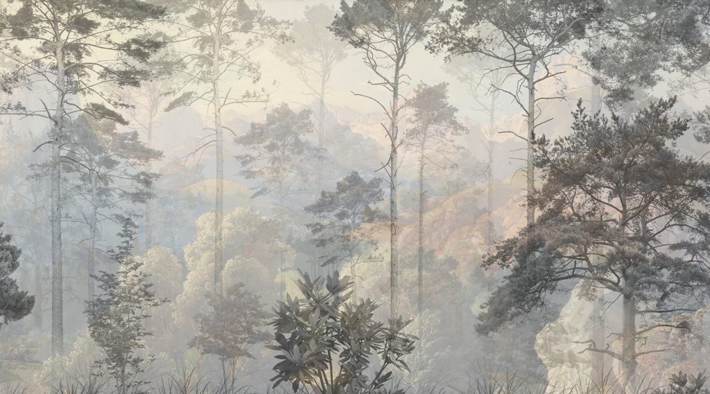 Fototapeta-W-Glebi-Lasu_2352813915