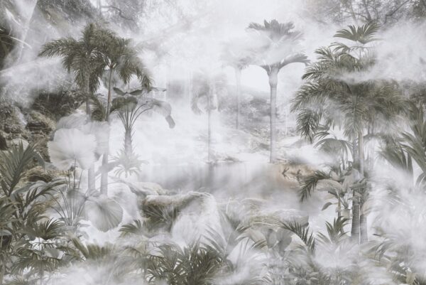 Papier peint Dans le brouillard des tropiques