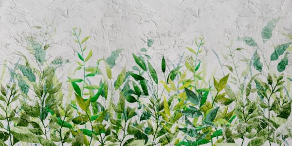 Papier peint Vert sur la structure