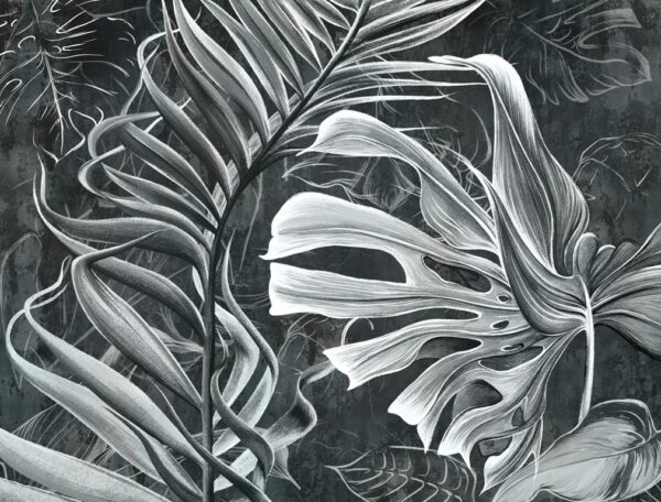 Papier peint Monstera dessiné au crayon