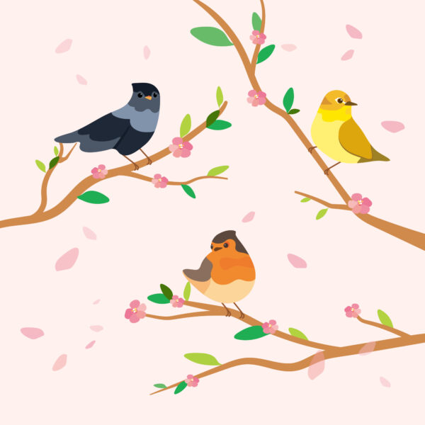 Papier peint Oiseaux sur une branche en rose