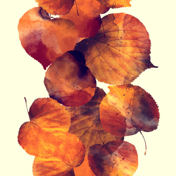 Papier peint Feuilles d'automne