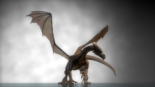 Papier peint Dragon à la surface de l'eau