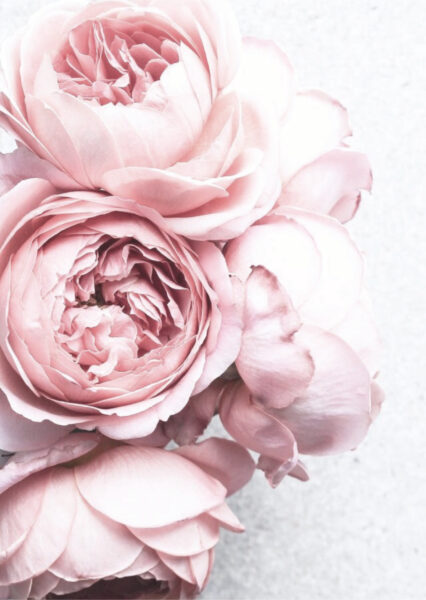 Papier peint Bouquet De Fleurs Roses