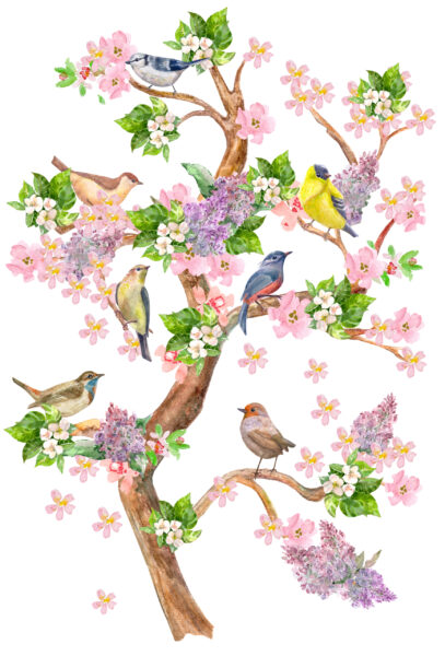Papier peint Oiseaux sur une branche d'arbre